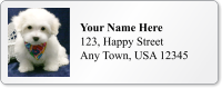 Custom Address Label With Pup Graphic