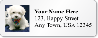 Customizable Address Label With Pup Symbol
