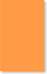 Fluorescent Orange Color Coded Labels