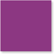 Purple Color Coded Label