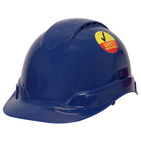 Vibrant hard hat label advocating safety first